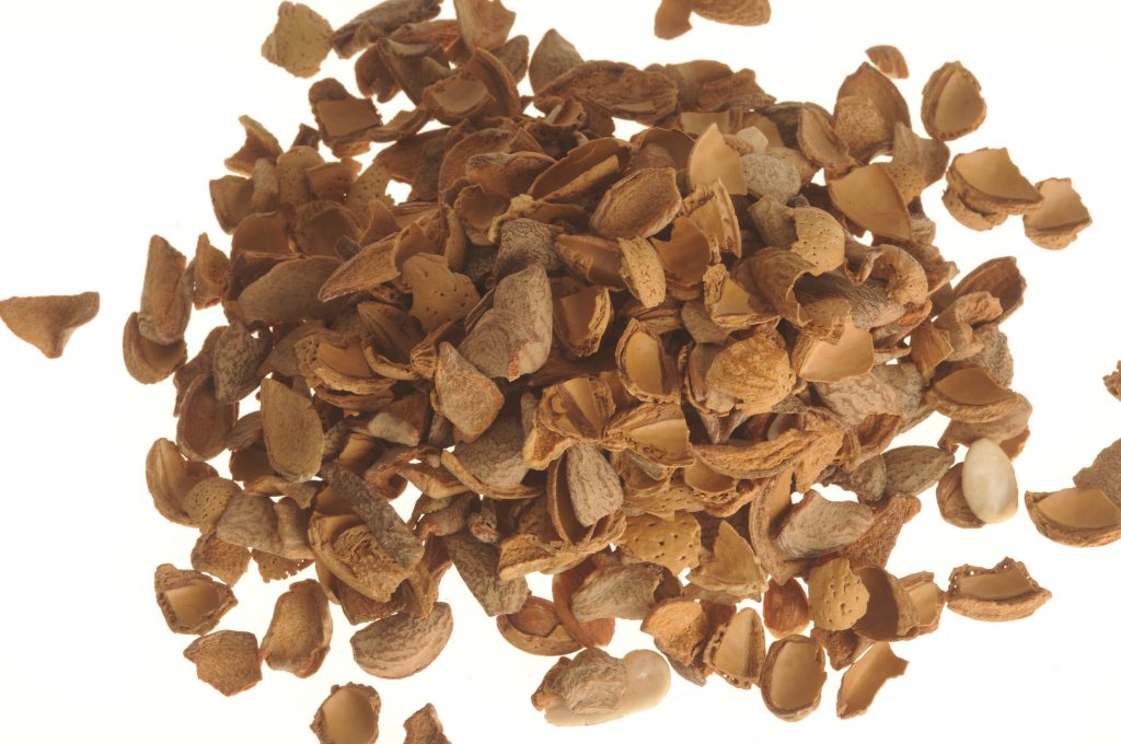 What Does Agriculture Mean to You? A National Ag Day Introspective